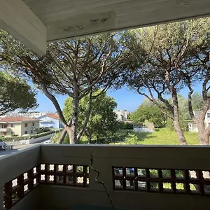 Appartamento Casa Palma - 300mt Dal Mare, Marina di Massa